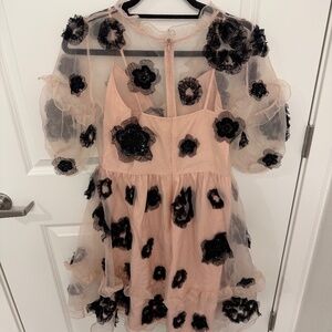 FRENCH CONNECTION Josephine Embellished Fit and Flare Dress